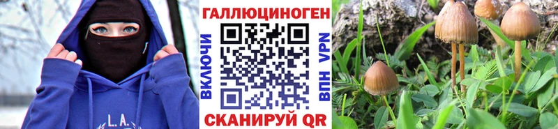 купить  цена  сайты даркнета наркотические препараты  Псилоцибиновые грибы Psilocybe  Вуктыл 