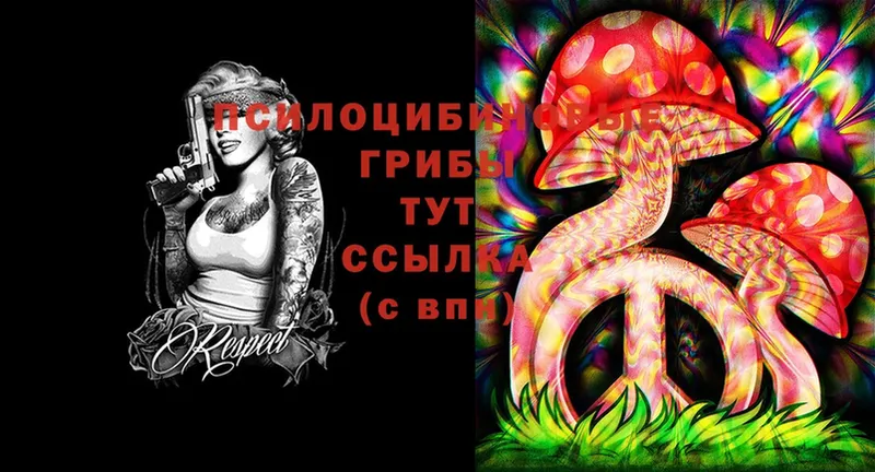 kraken как войти  Вуктыл  Галлюциногенные грибы MAGIC MUSHROOMS 